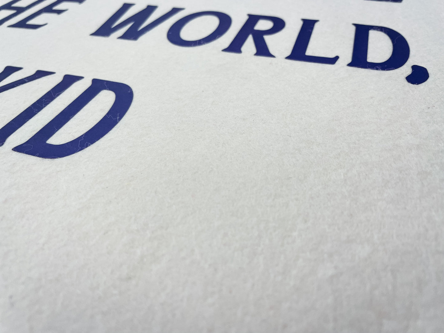 Go Change the world, Kid Felt Banner Flag