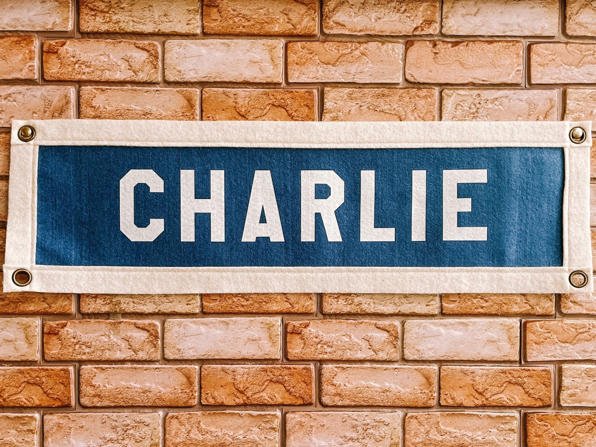 Custom Printed Felt Doorway Banner | 7 x 24 inch