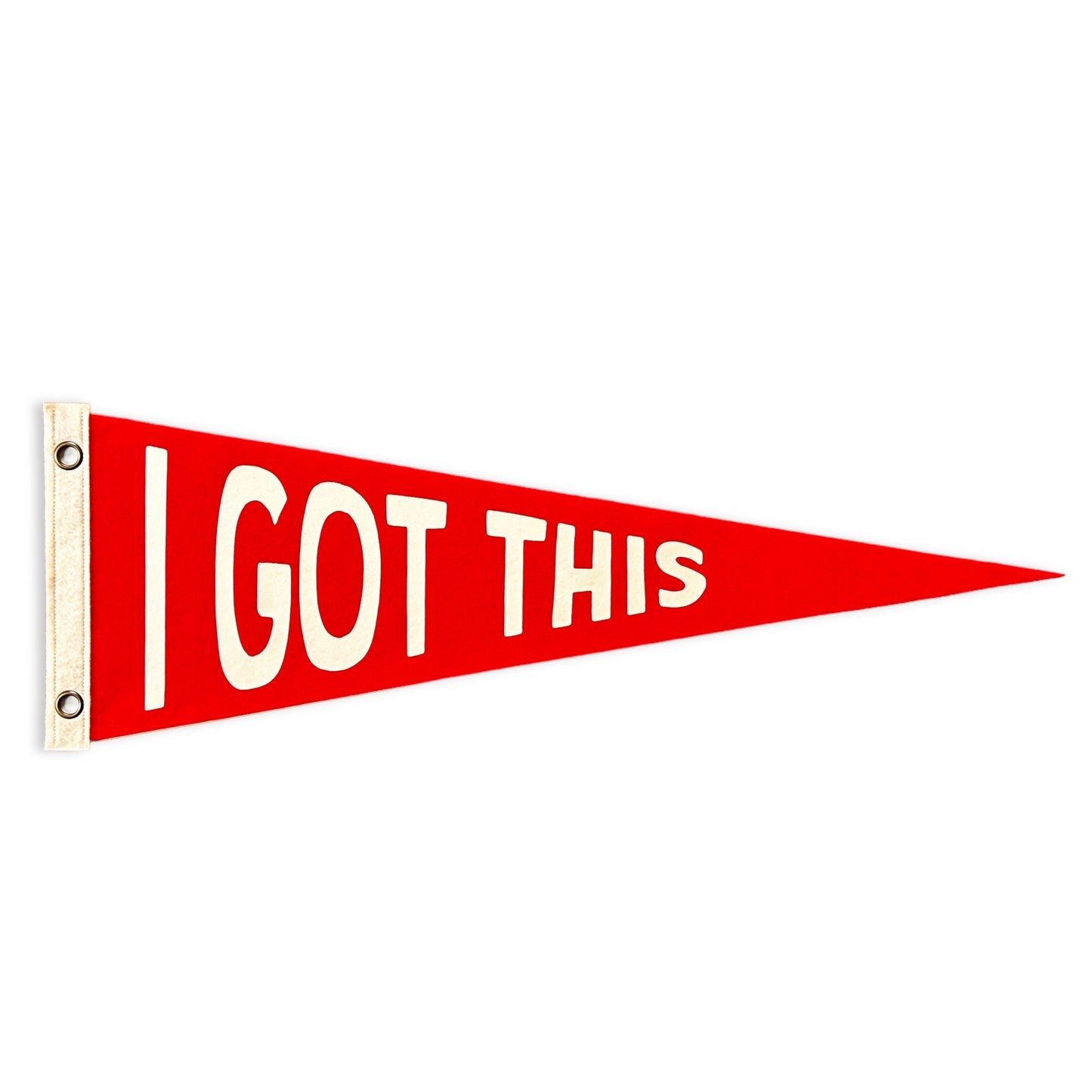 I GOT THIS Pennant | Felt Pennant Flag Banner | Vintage Style Motivation | Wall Decor