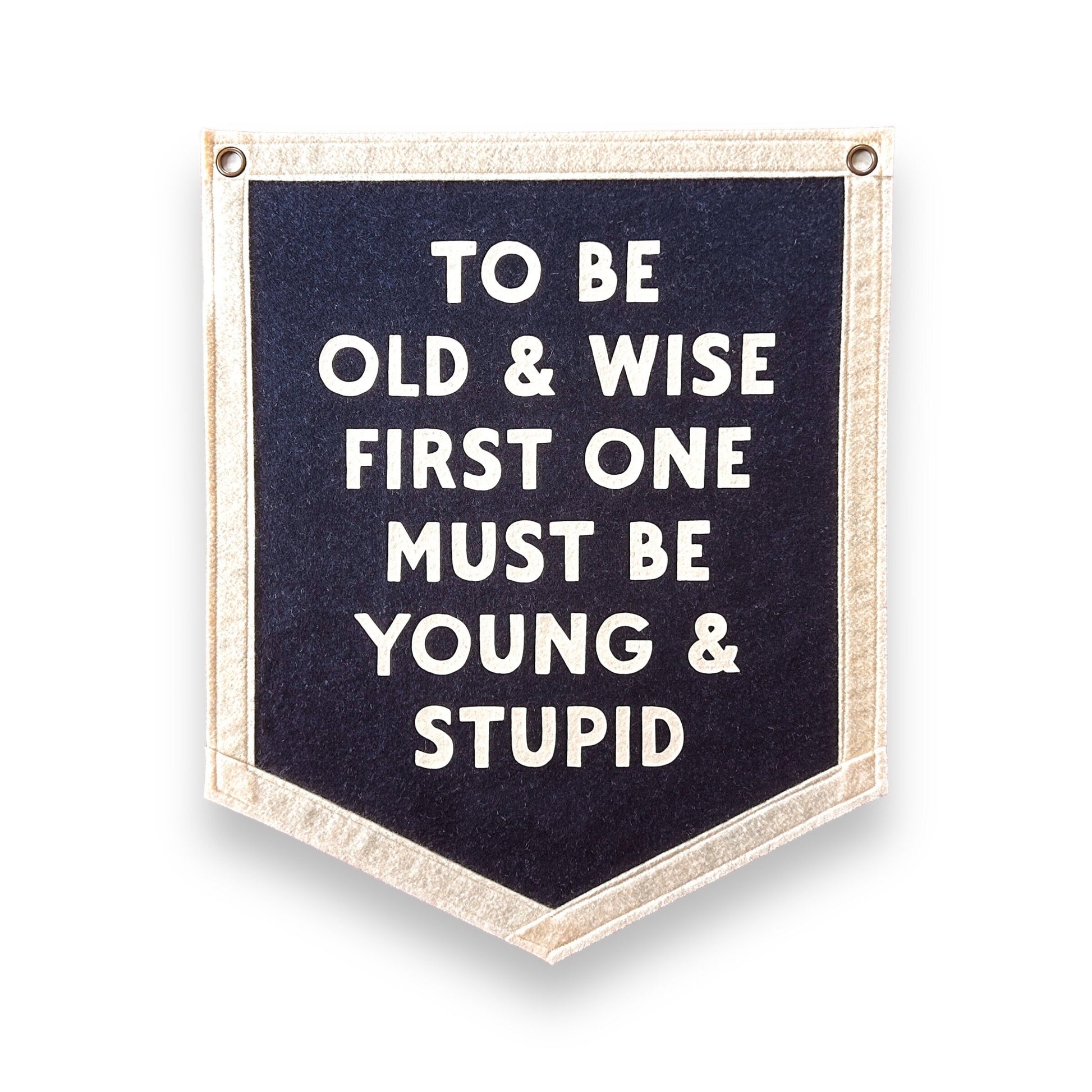 To be Old and Wise, first one must be Young and Stupid | Felt Pennant Flag Banner | Vintage Banner | Wall Decor | Wall Hanging
