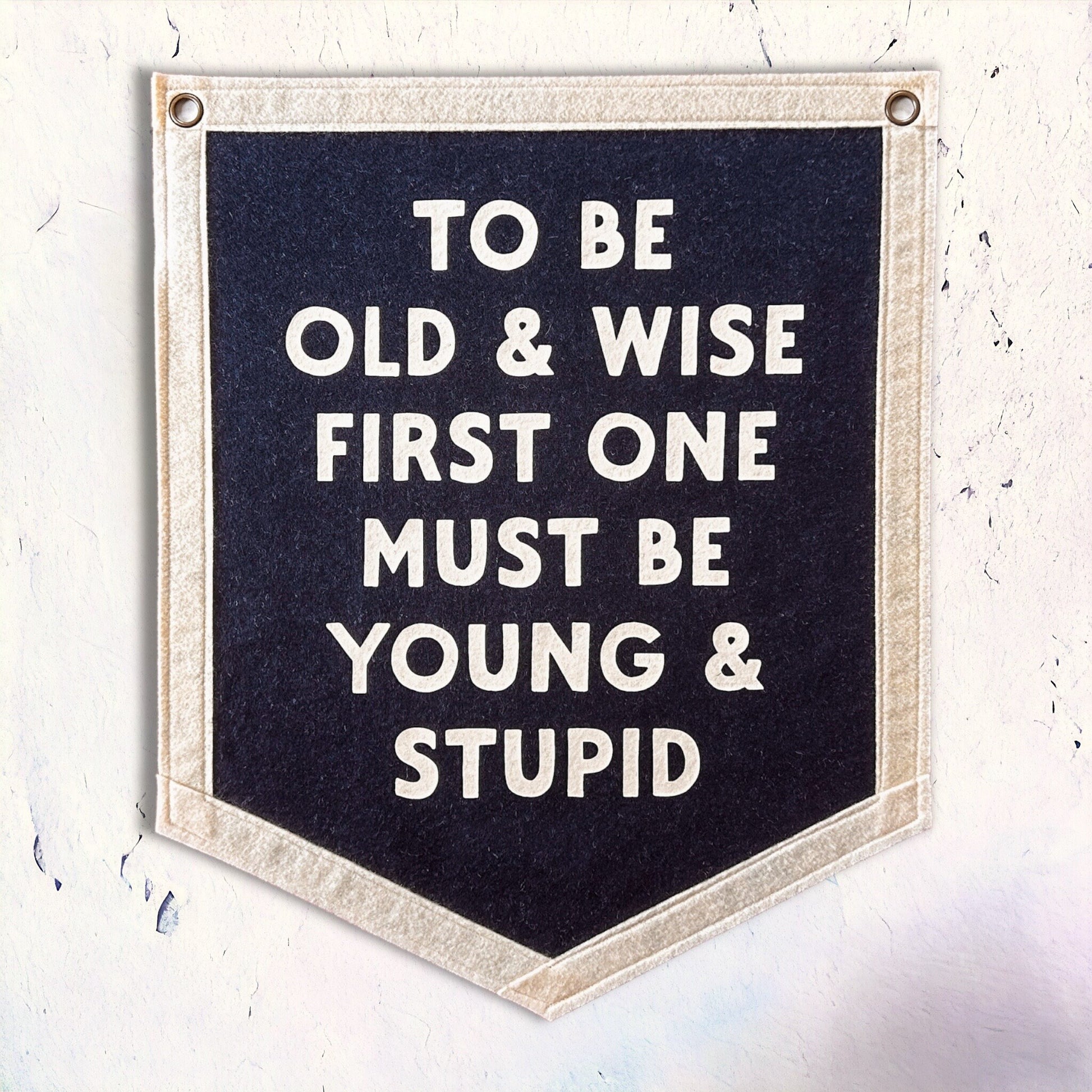 To be Old and Wise, first one must be Young and Stupid | Felt Pennant Flag Banner | Vintage Banner | Wall Decor | Wall Hanging